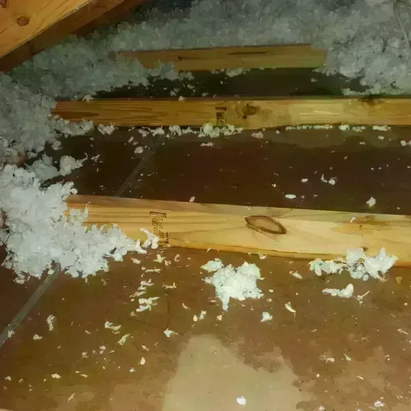 Attic Water Damage in Port Byron, IL