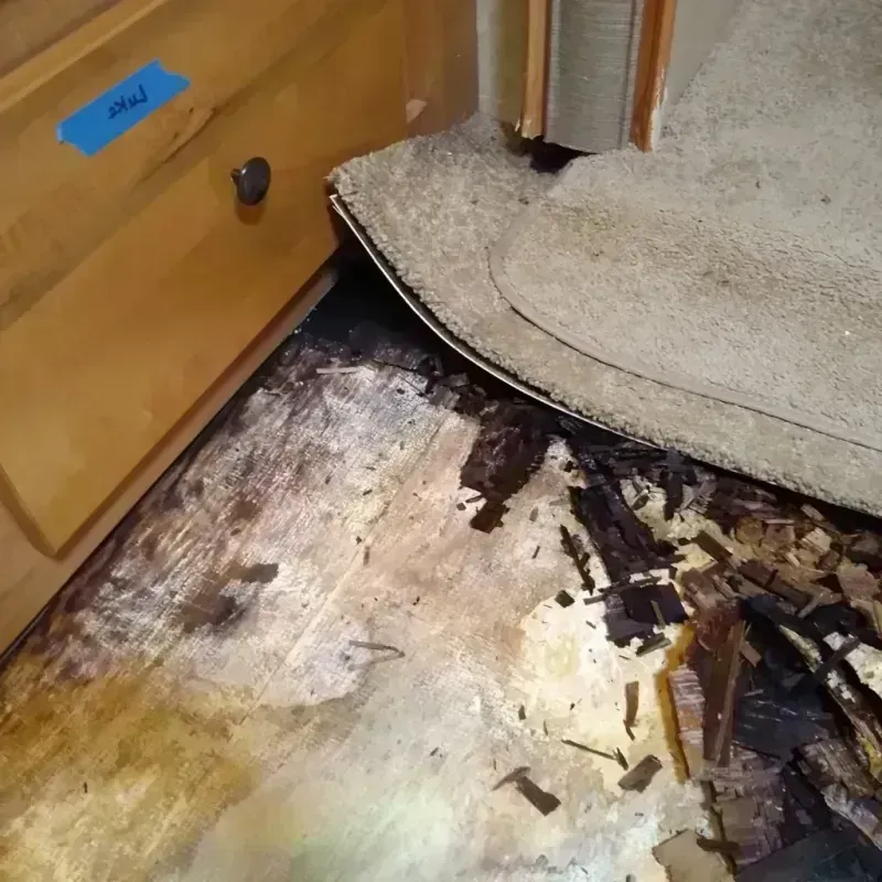 Best Wood Floor Water Damage Service in Port Byron, IL